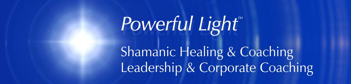 Welcome to Powerfullight leadership coaching